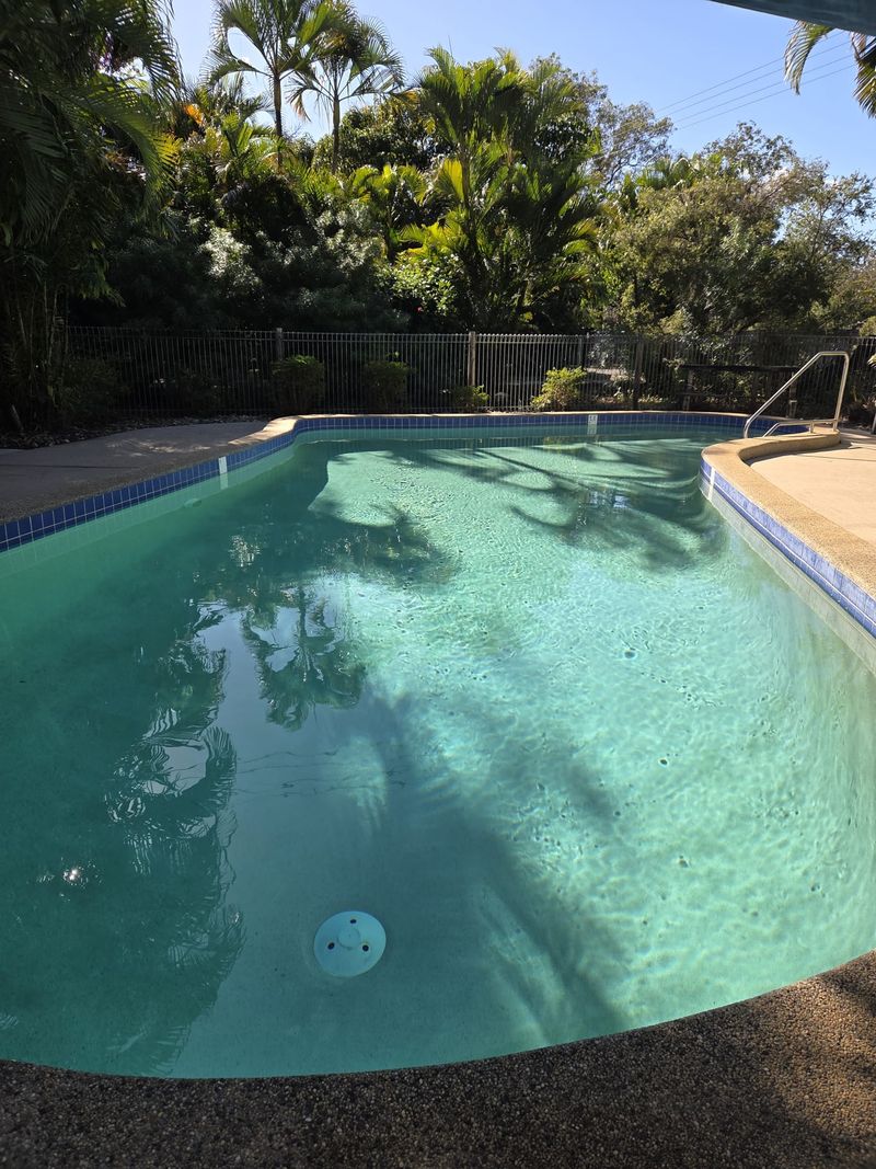 Swimming pool surrounded by tropical palms at the park