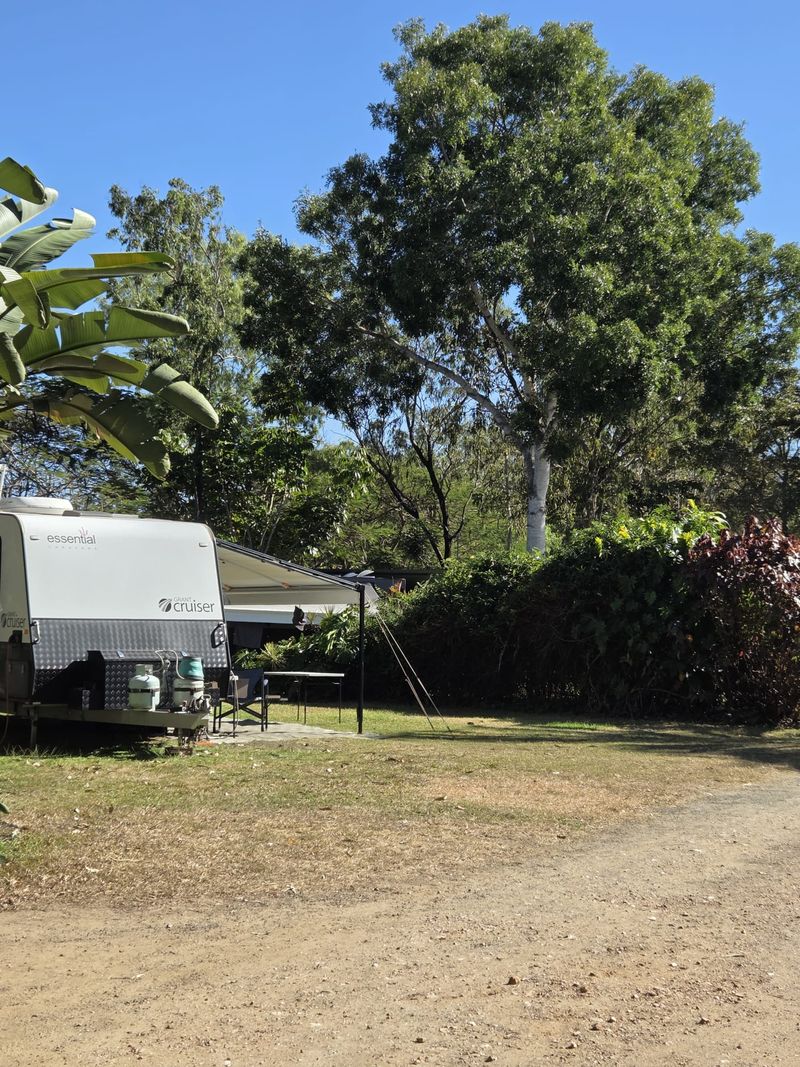 Caravan set up on a grassy powered site under shade trees